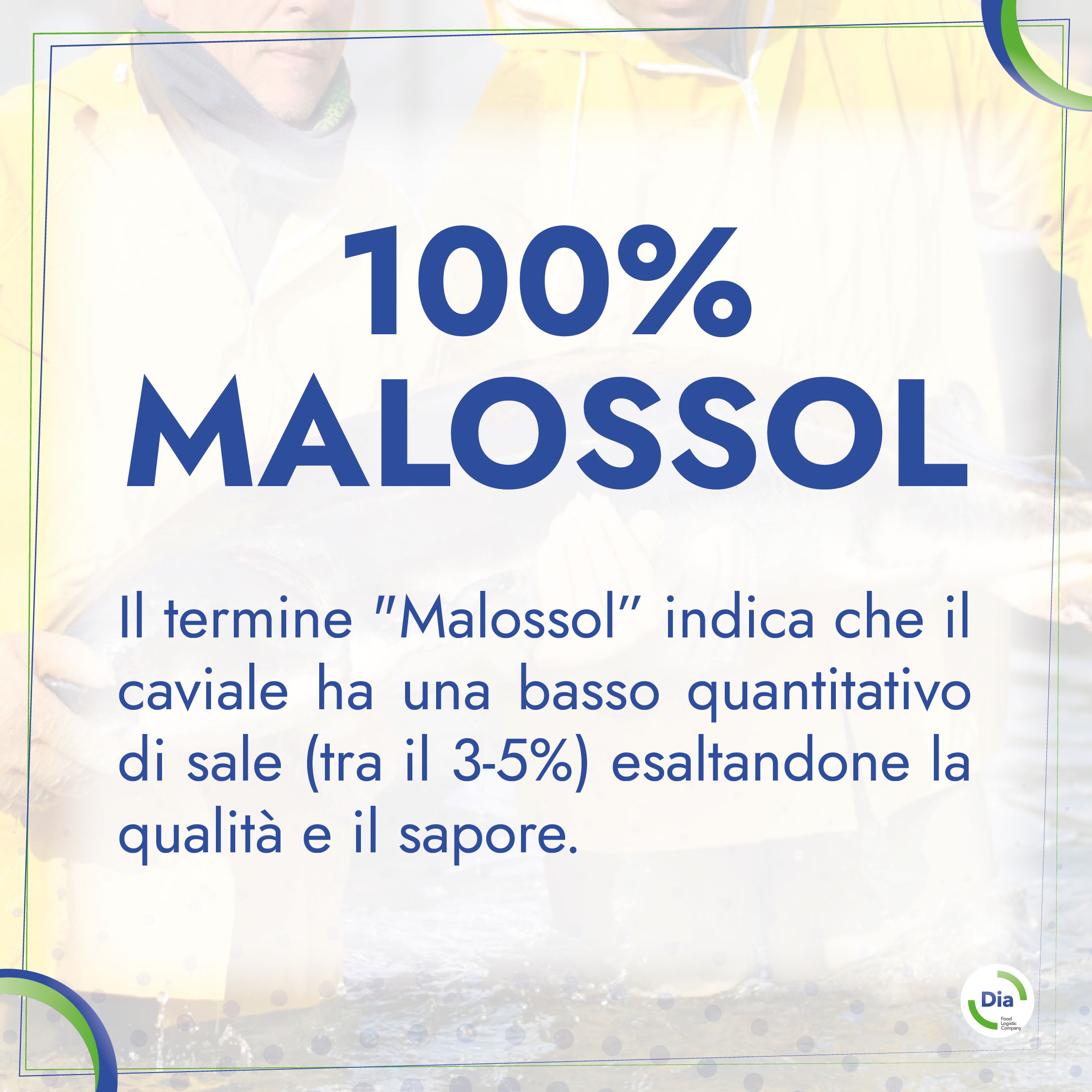 100% MALOSSOL Il termine
