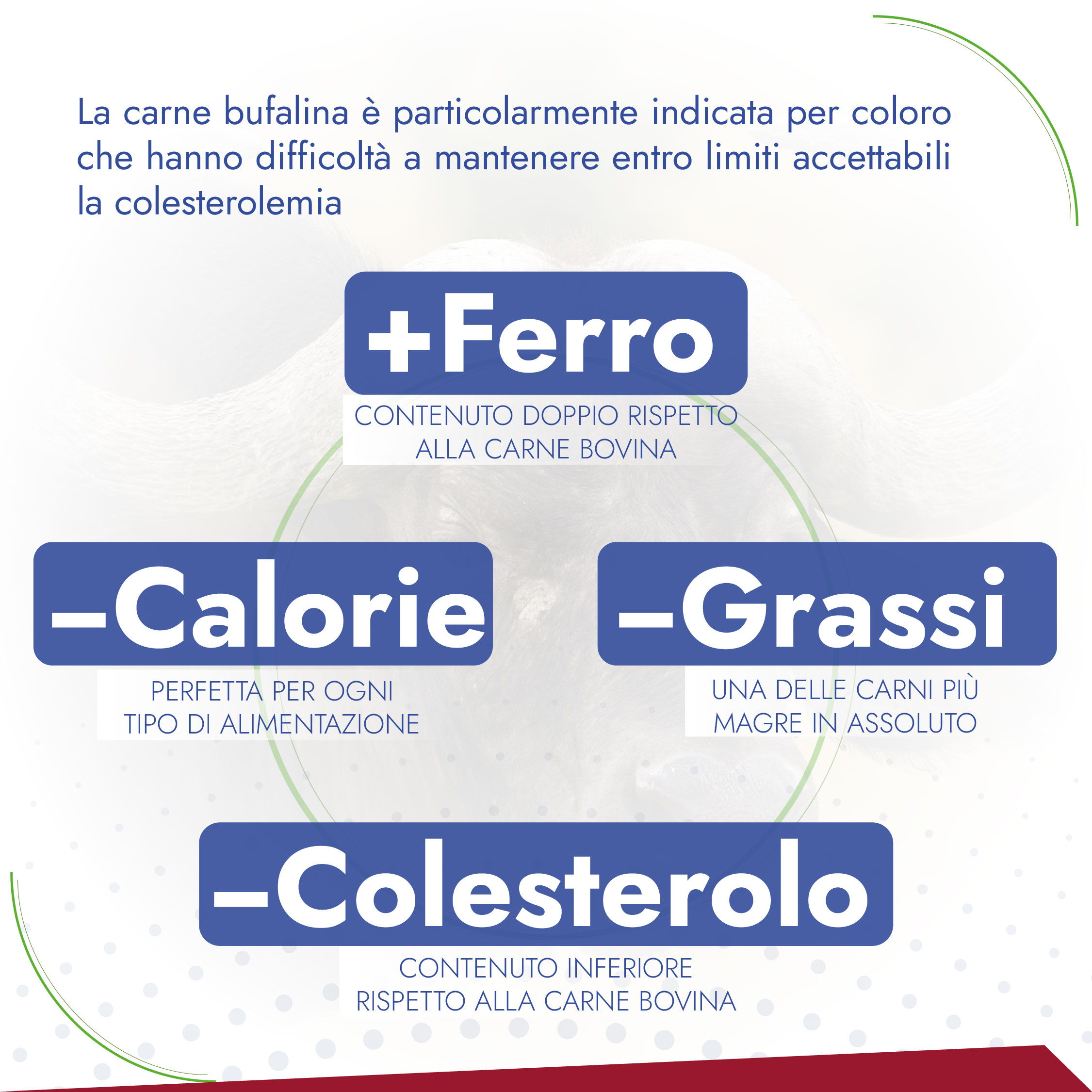 +Ferro Contenuto doppio rispetto alla carne bovina −Grassi Una delle carni più magre in assoluto −Colesterolo Contenuto inferiore rispetto alla carne bovina −Calorie Perfetta per ogni tipo di alimentazione