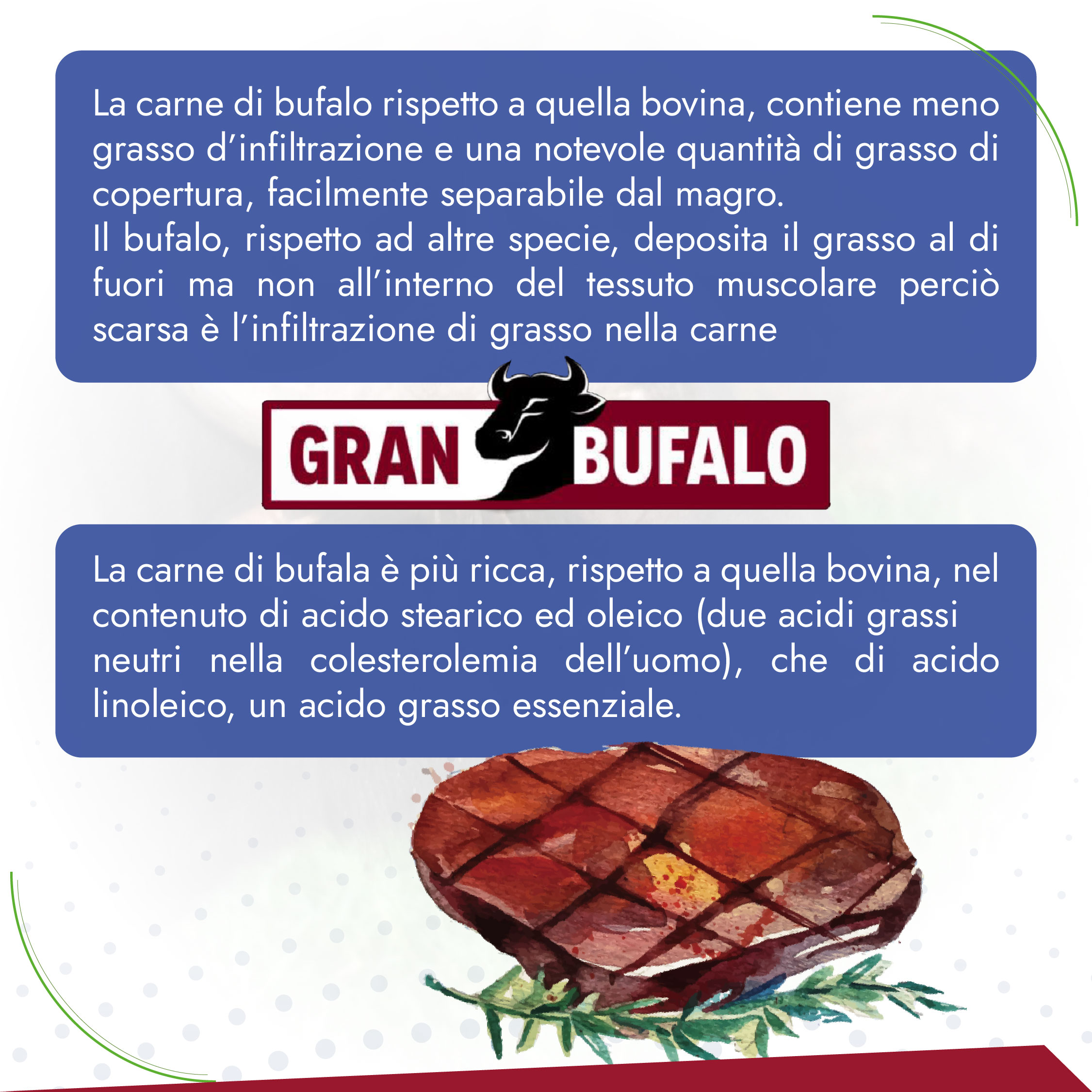 La carne di bufalo rispetto a quella bovina, contiene meno grasso d’infiltrazione e una notevole quantità di grasso di copertura, facilmente separabile dal magro. Il bufalo, rispetto ad altre specie, deposita il grasso al di fuori ma non all’interno del tessuto muscolare perciò scarsa è l’infiltrazione di grasso nella carne. La carne di bufala è più ricca, rispetto a quella bovina, nel contenuto di acido stearico ed oleico (due acidi grassi neutri nella colesterolemia dell’uomo), che di acido linoleico, un acido grasso essenziale.